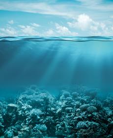 حقائق وأرقام عن المحيطات في يومها العالمي
