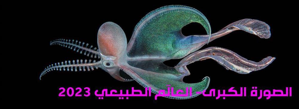 مسابقة الصورة الكبرى- العالَم الطبيعي 2023