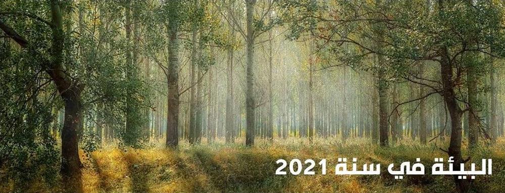 البيئة في سنة 2021
