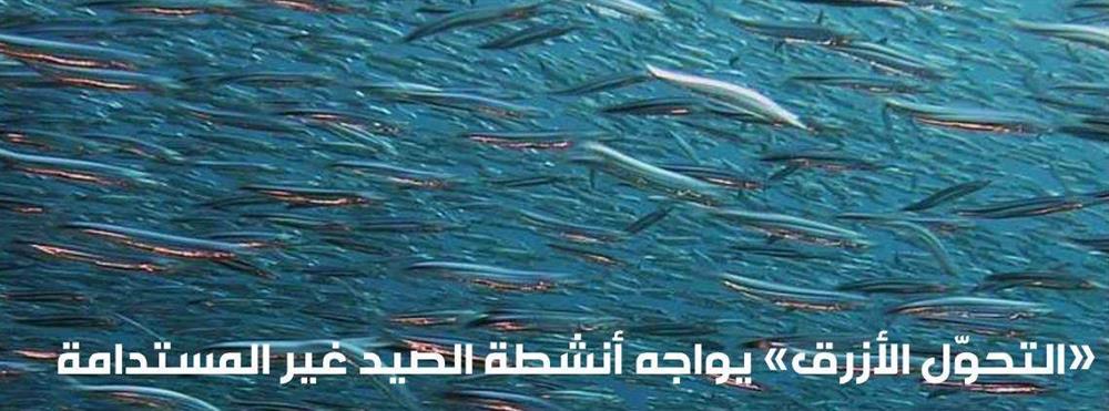 التحوّل الأزرق يواجه أنشطة الصيد غير المستدامة