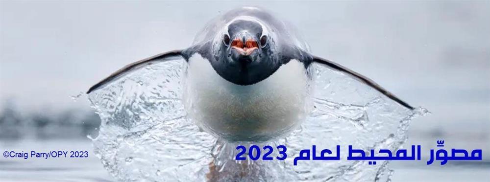 	مصوِّر المحيط لعام 2023 