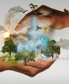 يوم تجاوزت البصمة البيئية للبشرية موارد الأرض: العالم صرف الميزانية السنوية وبدأ الاستدانة من الطبيعة