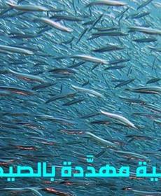 ثروة الخليج السمكية مهدَّدة بالصيد المفرط والاحترار