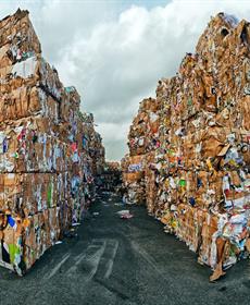 بعد الحظر الصيني على استيراد النفايات: هل يكسب العالم رهان التدوير؟