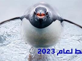 مصوِّر المحيط لعام 2023