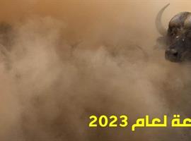 مصوِّر الطبيعة لعام 2023