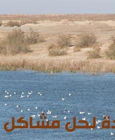 هل تنجح الاستراتيجية الجديدة في حل مشاكل البيئة العراقية المزمنة؟