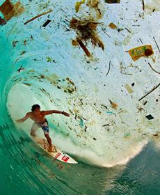 النفايات في البحار أكثر من الأسماك: البلاستيك يستوطن الأزرق الكبير