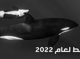 مُصوِّر المحيط لعام 2022
