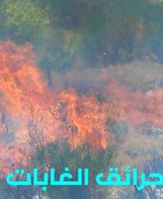 بداية الاستجابة لحرائق الغابات في لبنان