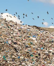 النفايات والصحة عربياً: 200 مليون طن سنوياً تلوّث المياه والهواء: طمر عشوائي وحرق مكشوف وكورونا تُضاعف النفايات الطبية
