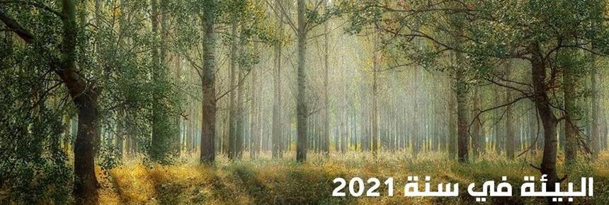 Environment in 2021