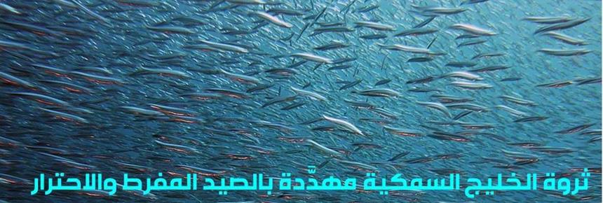 Gulf Fisheries Threatened by Overfishing and Warming