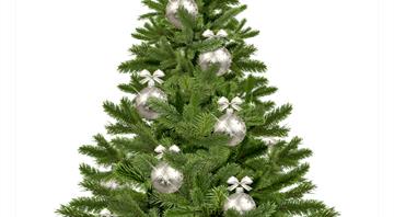 Researchers race to climate-proof Christmas tree production: ‘We’re up to the task’ Researchers race to climate-proof Christmas tree production: ‘We’re up to the task’