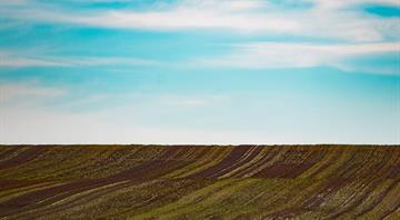 Revealed: Europe losing 600 football pitches of nature and crop land a day Revealed: Europe losing 600 football pitches of nature and crop land a day