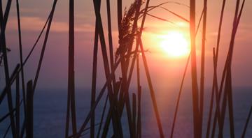 February on course to break unprecedented number of heat records