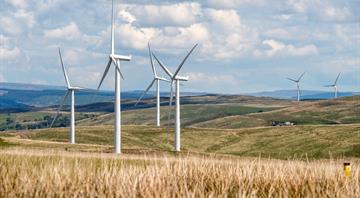 Germany's top clean energy source set to slow growth pace in 2024 Germany's top clean energy source set to slow growth pace in 2024