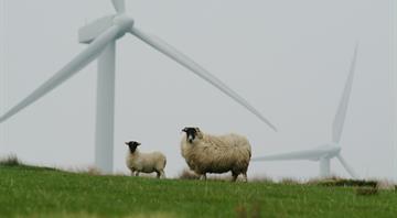EU's 2024 new wind capacity less than half amount needed for climate goal, industry group says