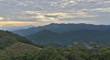 Secret 'sky island' rainforest saved by new discoveries