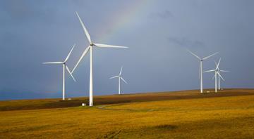 China's wind, solar capacity forecast to overtake coal in 2024