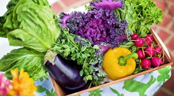 Vegetables are losing their nutrients. Can the decline be reversed?