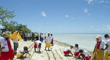 Carbon markets could boost climate action in least developed countries Carbon markets could boost climate action in least developed countries