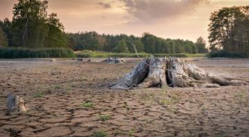Explainer: Why are NDCs important in global climate talks? Explainer: Why are NDCs important in global climate talks?
