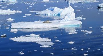 Global sea ice hit ‘all-time minimum’ in February, scientists say Global sea ice hit ‘all-time minimum’ in February, scientists say