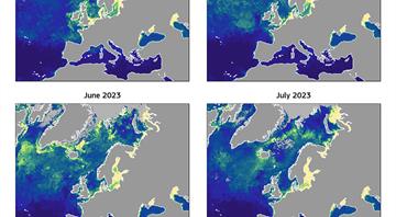 Why the world's oceans are changing colour