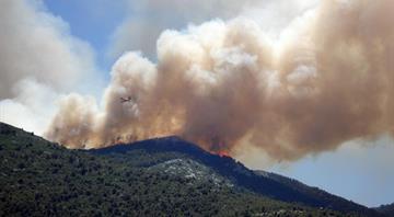 Record wildfires burn more than 1 million hectares of EU land this year