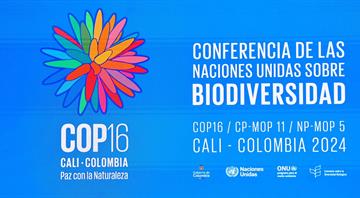 Leaders urge world to pay up to save nature as COP16 talks open Leaders urge world to pay up to save nature as COP16 talks open