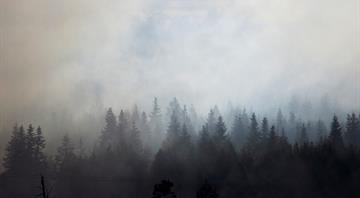 Major report joins dots between world's nature challenges Major report joins dots between world's nature challenges