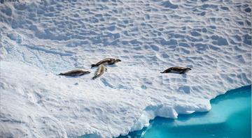 China's first atmospheric monitoring station in Antarctica begins operations China's first atmospheric monitoring station in Antarctica begins operations