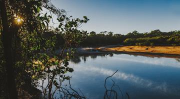 Reuters Exclusive: Brazil will be first to invest in global forest fund, sources say Reuters Exclusive: Brazil will be first to invest in global forest fund, sources say