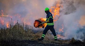 Area burned by UK wildfires in 2025 already at annual record Area burned by UK wildfires in 2025 already at annual record