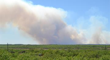 Wildfire smoke exposure may shorten lung cancer survival Wildfire smoke exposure may shorten lung cancer survival