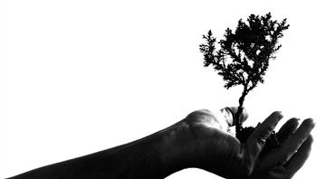 Groundbreaking Review Calls for Shift from Economic Growth to Wellbeing within Planetary Limits Groundbreaking Review Calls for Shift from Economic Growth to Wellbeing within Planetary Limits