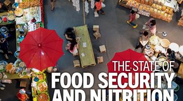 Global hunger falls but conflict and climate threaten progress, UN says Global hunger falls but conflict and climate threaten progress, UN says