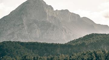 Turkey drafting long-term strategy to combat climate change Turkey drafting long-term strategy to combat climate change