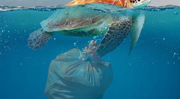 The shocking extent of Earth's plastic crisis: 220 MILLION tonnes of waste are set to be generated this year - the equivalent of 650 Empire State Buildings The shocking extent of Earth's plastic crisis: 220 MILLION tonnes of waste are set to be generated this year - the equivalent of 650 Empire State Buildings