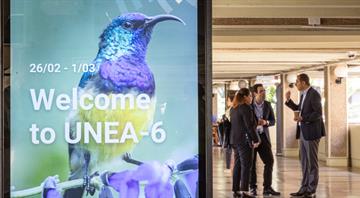 What is the UN Environment Assembly and why does it matter?