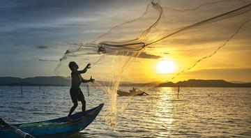 Canada to ban open-net salmon farms in British Columbia waters by 2029 Canada to ban open-net salmon farms in British Columbia waters by 2029
