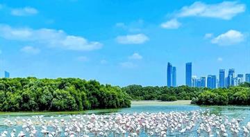 Abu Dhabi to set noise and air pollution limits for establishments and projects Abu Dhabi to set noise and air pollution limits for establishments and projects