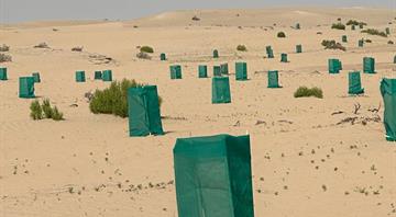 The Environment Agency–Abu Dhabi Launches the Region’s Largest AI-based Research Programme to Monitor the Condition of Abu Dhabi’s Vegetation and Pastures The Environment Agency–Abu Dhabi Launches the Region’s Largest AI-based Research Programme to Monitor the Condition of Abu Dhabi’s Vegetation and Pastures