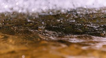 Only one-third of Europe’s surface water qualifies as good or better, study finds Only one-third of Europe’s surface water qualifies as good or better, study finds