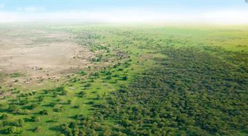 Exclusive: Africa's Great Green Wall to miss 2030 goal says UN desertification president Exclusive: Africa's Great Green Wall to miss 2030 goal says UN desertification president
