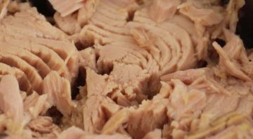 Only one of Australia’s most popular tuna brands passes sustainability test, first-of-its-kind review finds Only one of Australia’s most popular tuna brands passes sustainability test, first-of-its-kind review finds