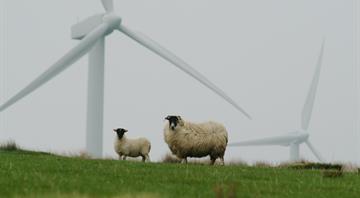 Wind power has cut £104bn from UK energy costs since 2010, study finds Wind power has cut £104bn from UK energy costs since 2010, study finds