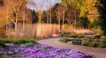 Kew Gardens prepares for climate change tree loss