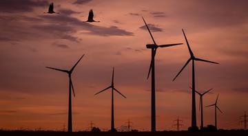 Renewable energy to fall short of UN goal to triple by 2030, IEA says Renewable energy to fall short of UN goal to triple by 2030, IEA says